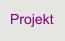 Projekt