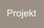 Projekt